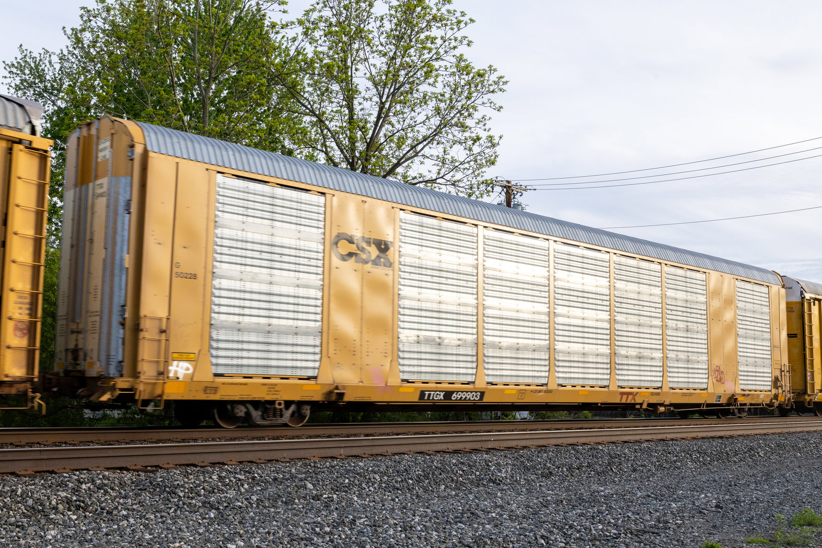 TTGX 699903