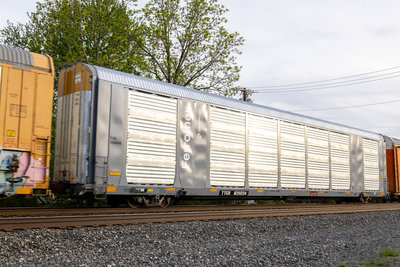 TTGX 825034