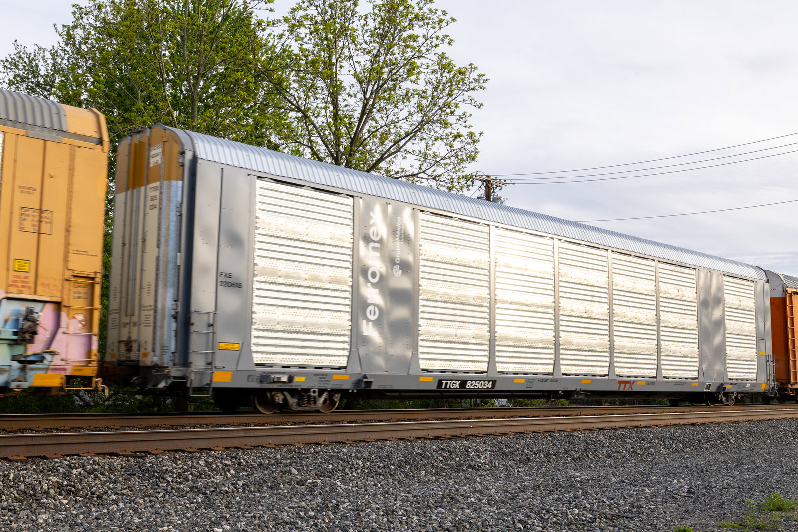 TTGX 825034