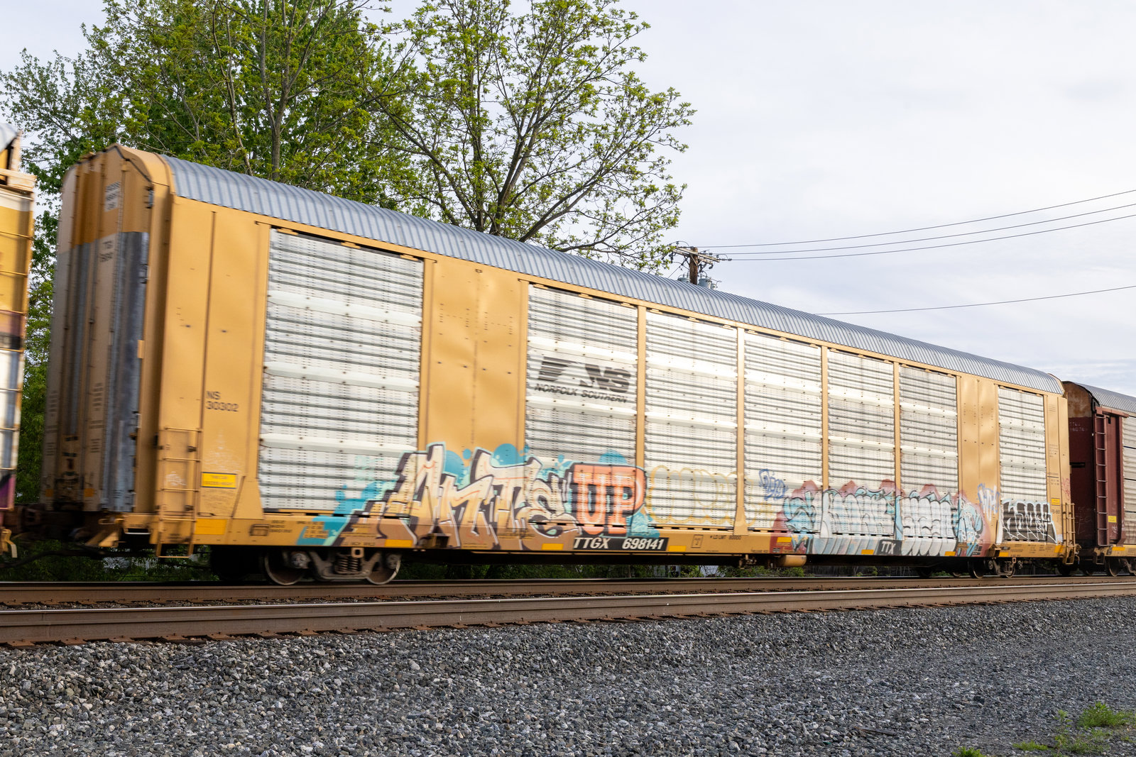 TTGX 698141