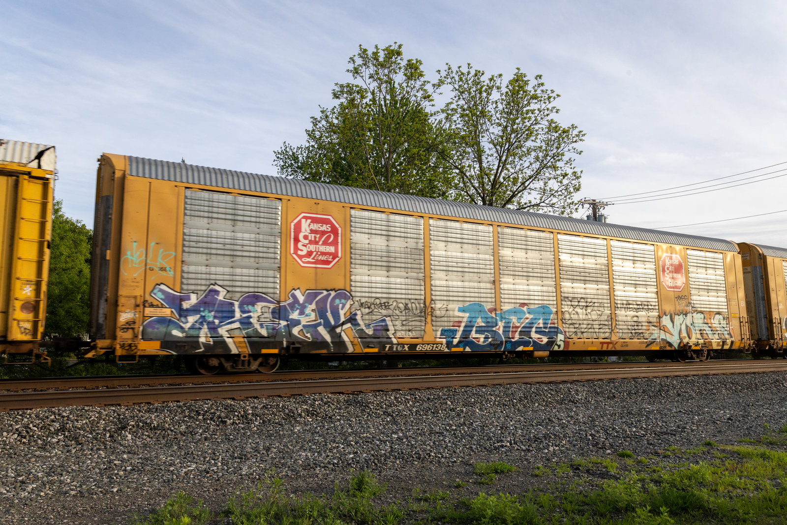 TTGX 696138