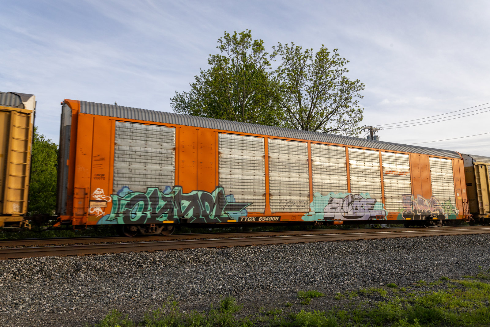 TTGX 694909