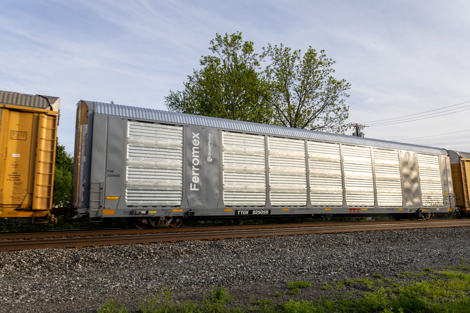 TTGX 825058