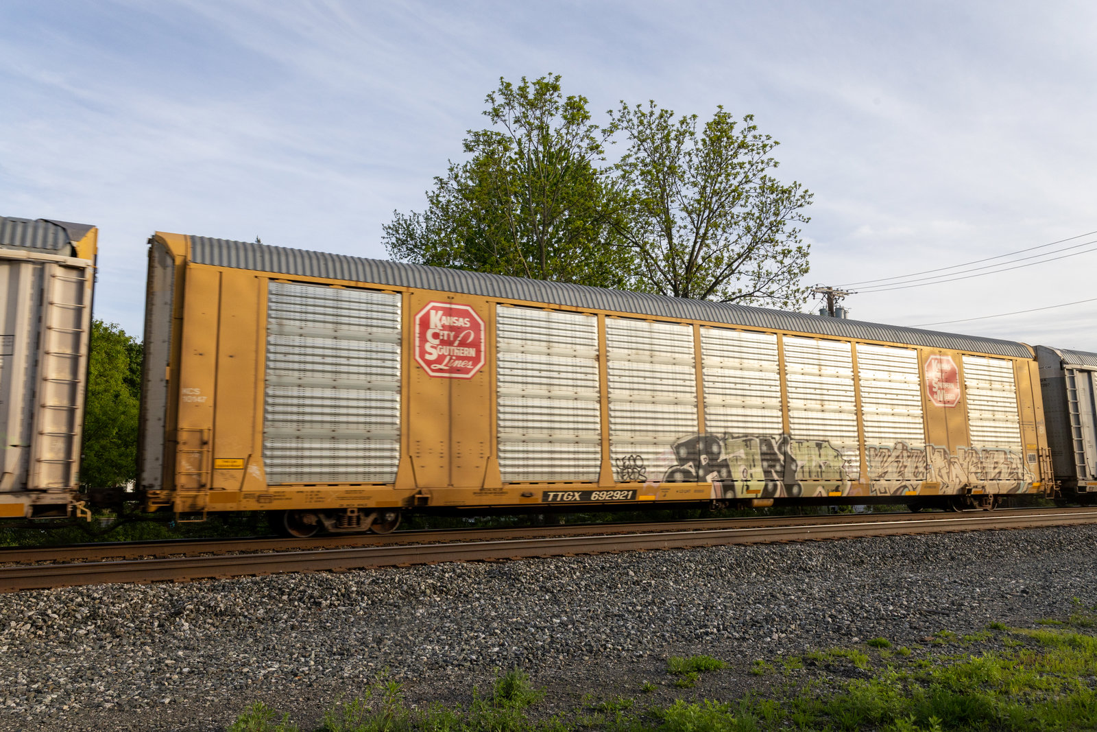 TTGX 692921