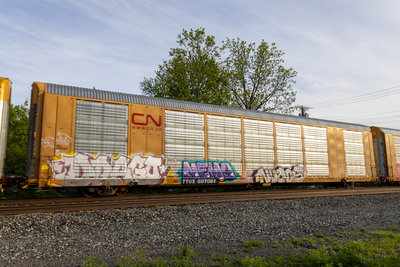 TTGX 697061