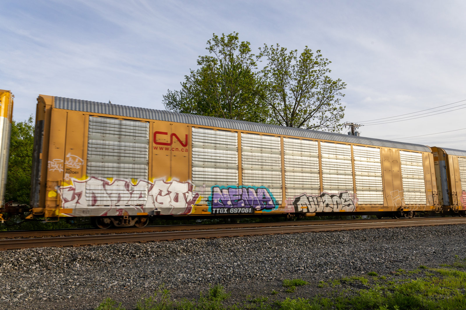TTGX 697061