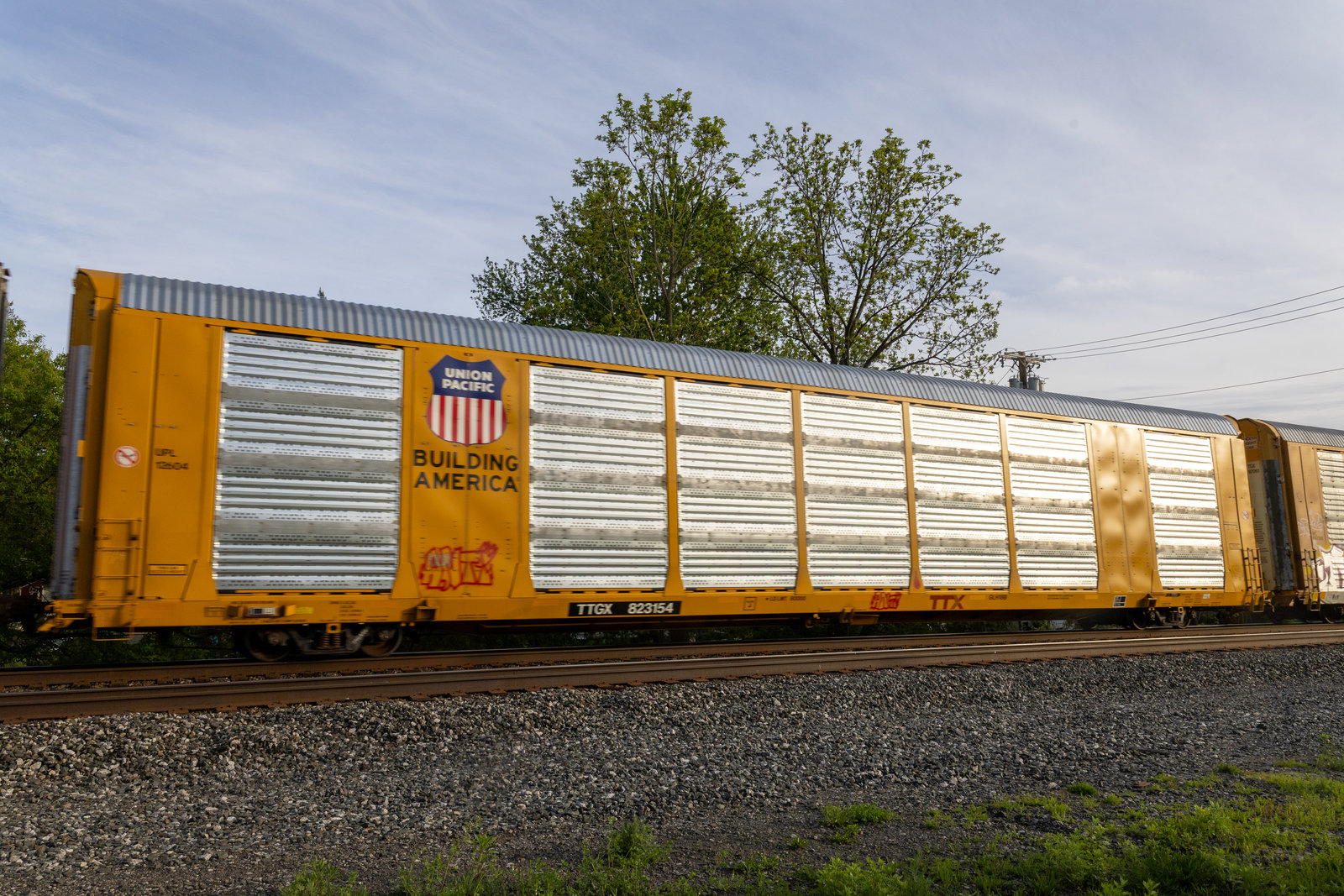 TTGX 823154