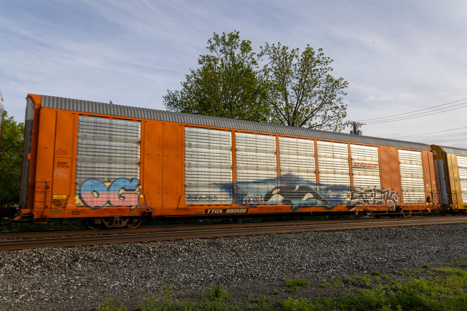 TTGX 693500