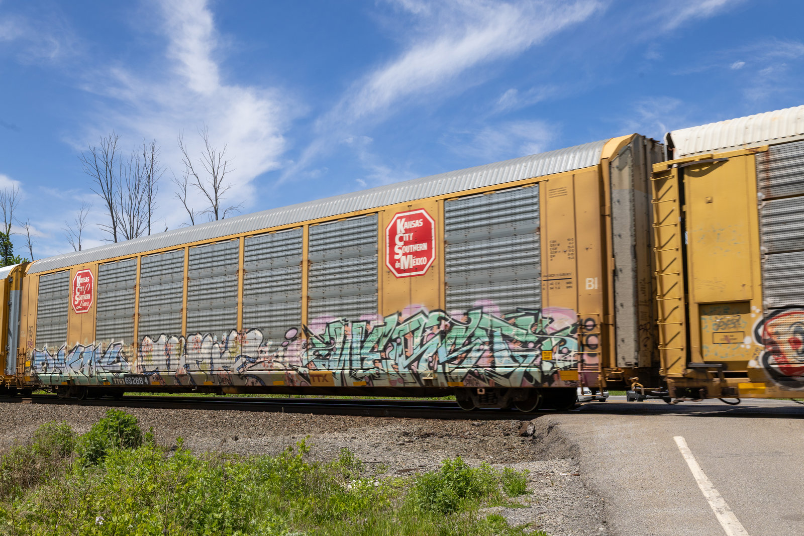 TTGX 692884