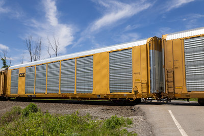 TTGX 825421