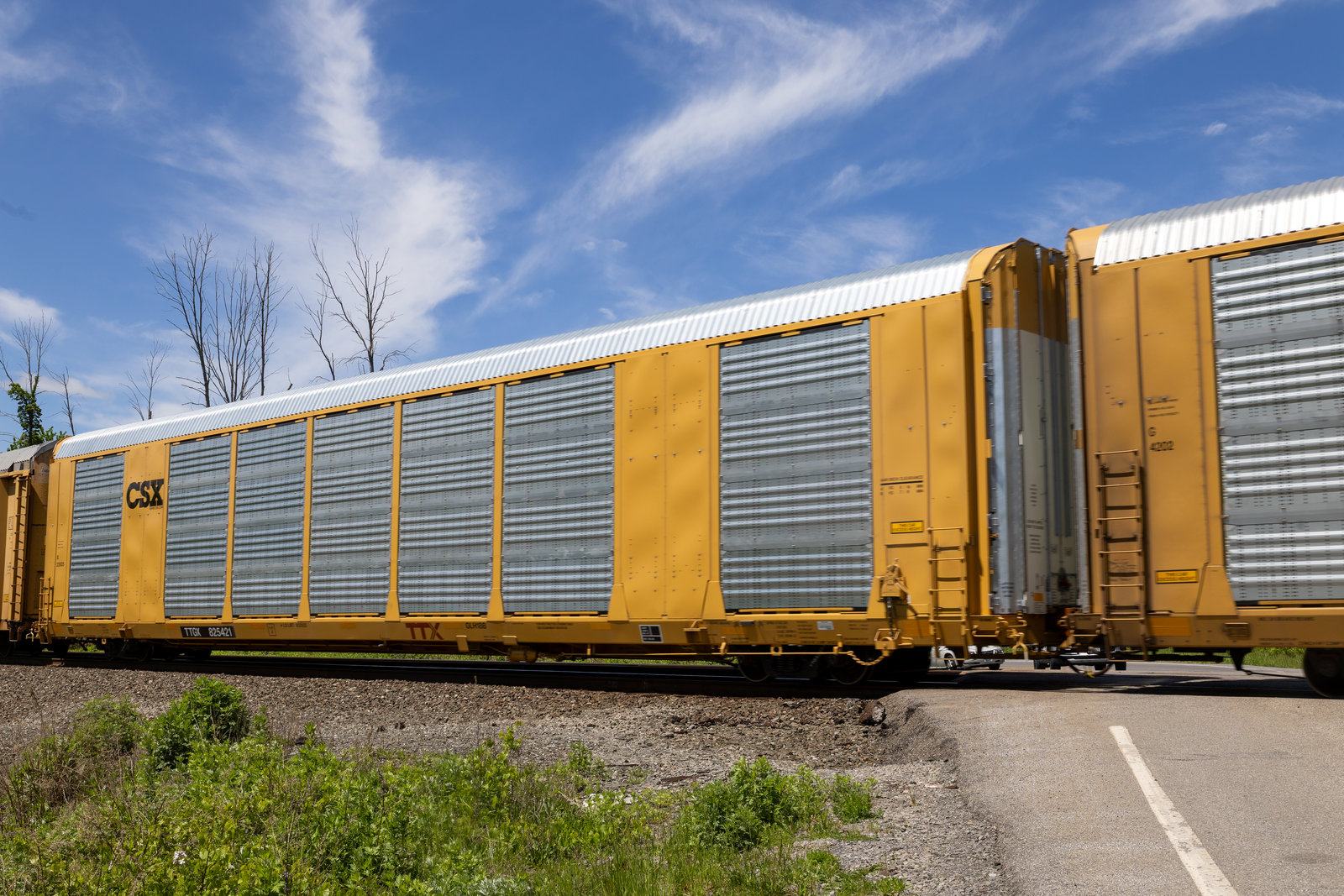 TTGX 825421