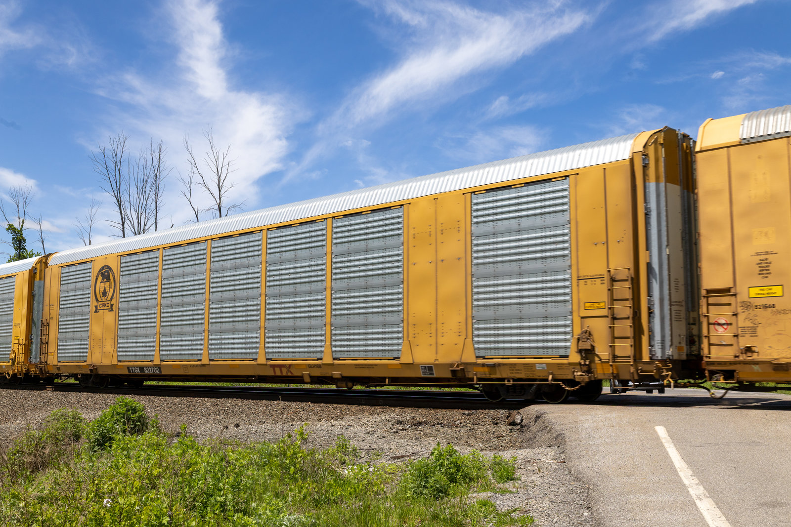 TTGX 822702