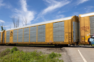TTGX 822451
