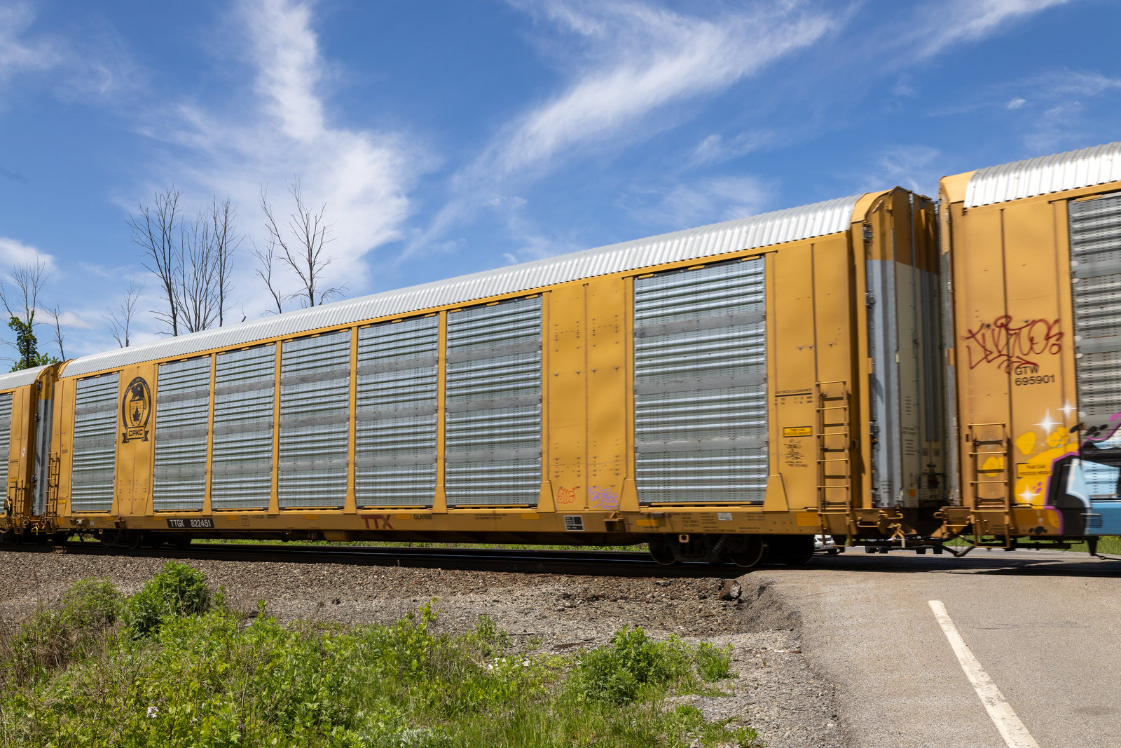 TTGX 822451