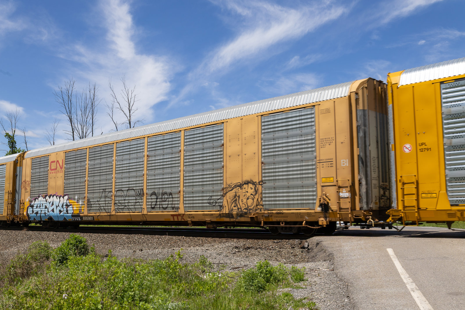 TTGX 695901