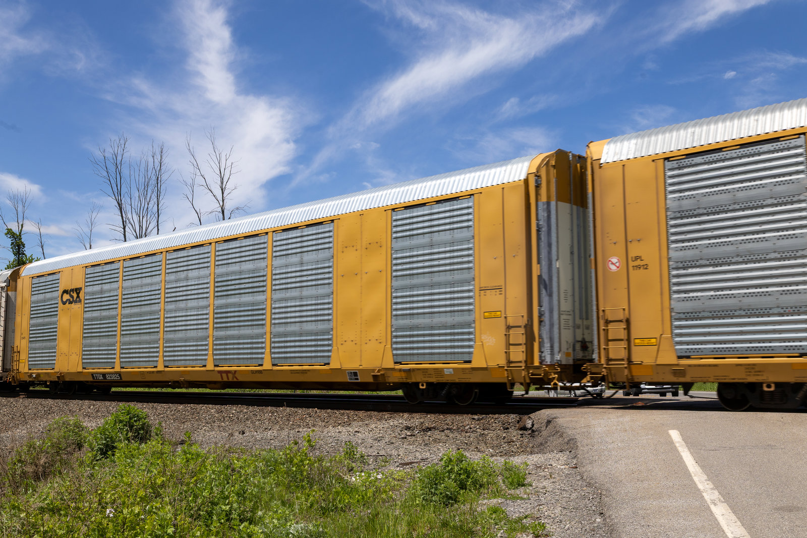 TTGX 823825