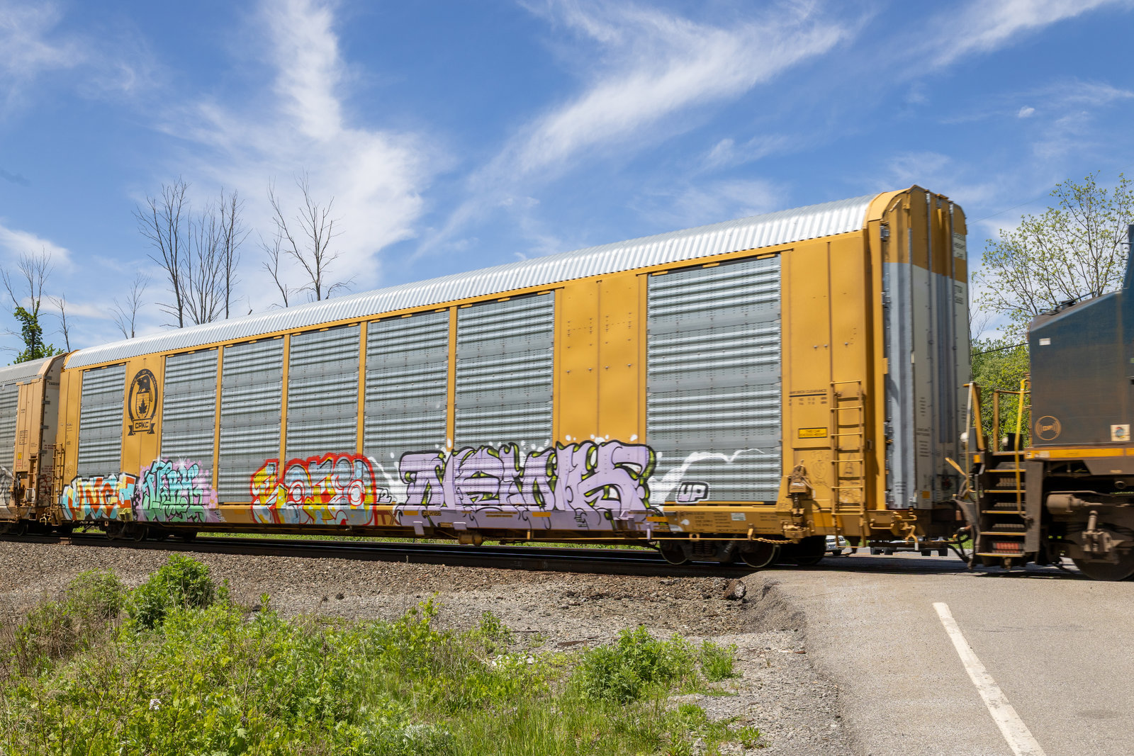 TTGX 823560