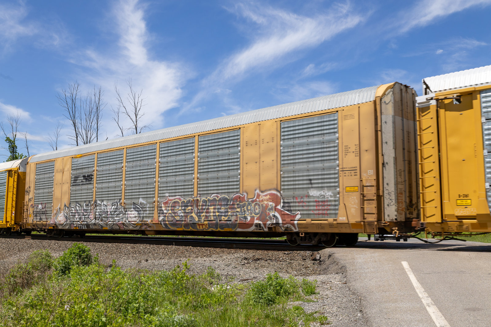 TTGX 691492