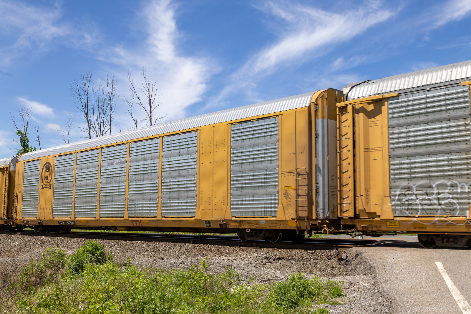 TTGX 822593