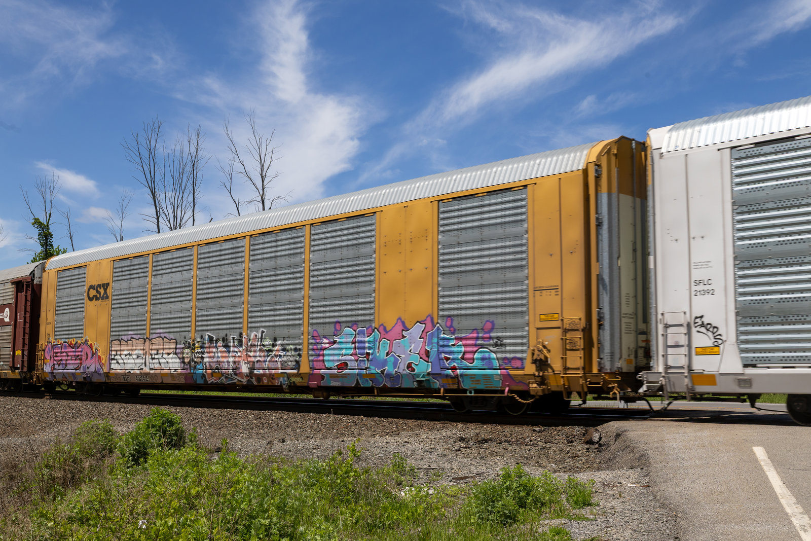 TTGX 699694