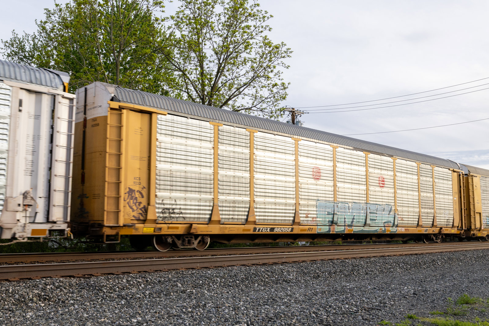 TTGX 982058