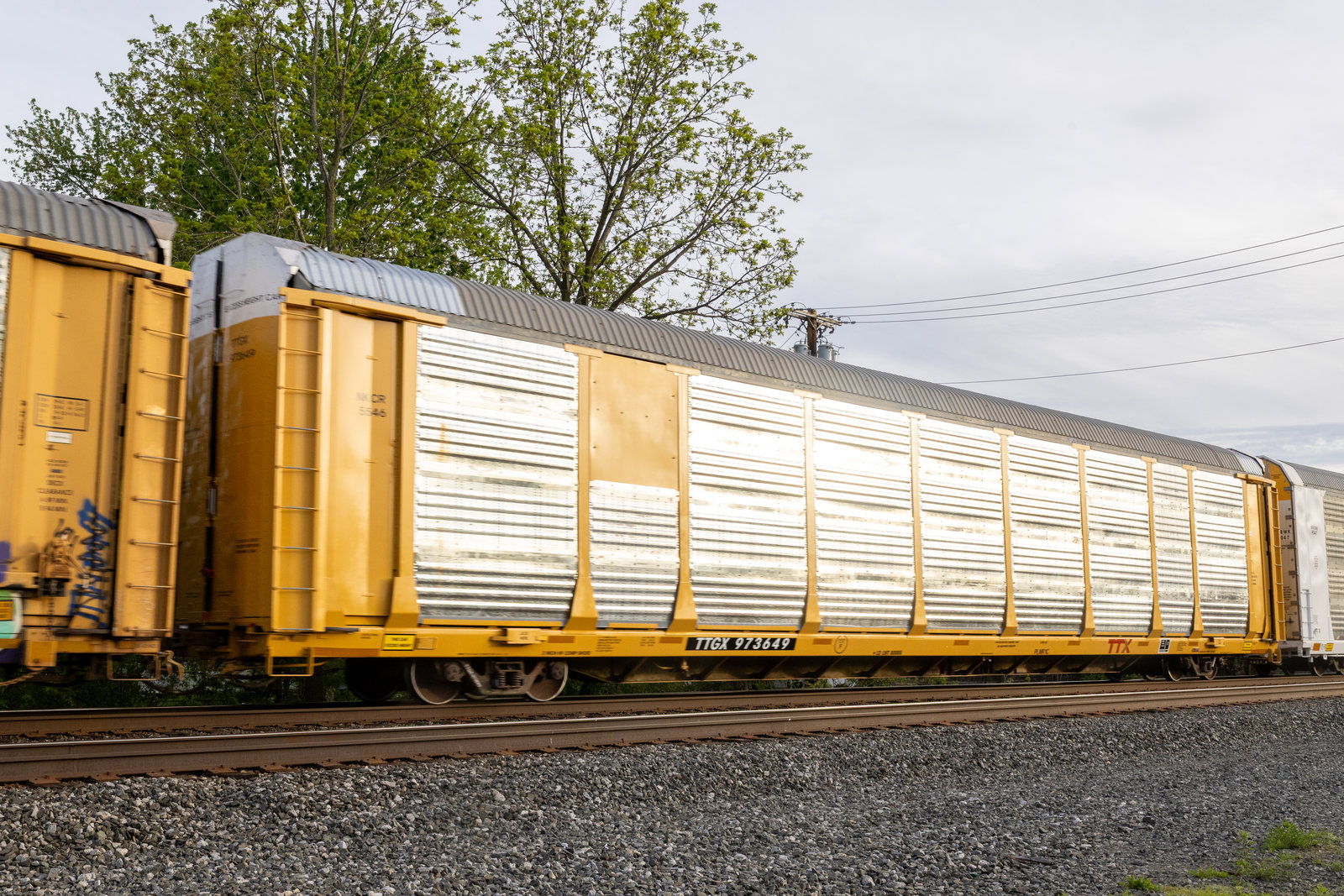 TTGX 973649