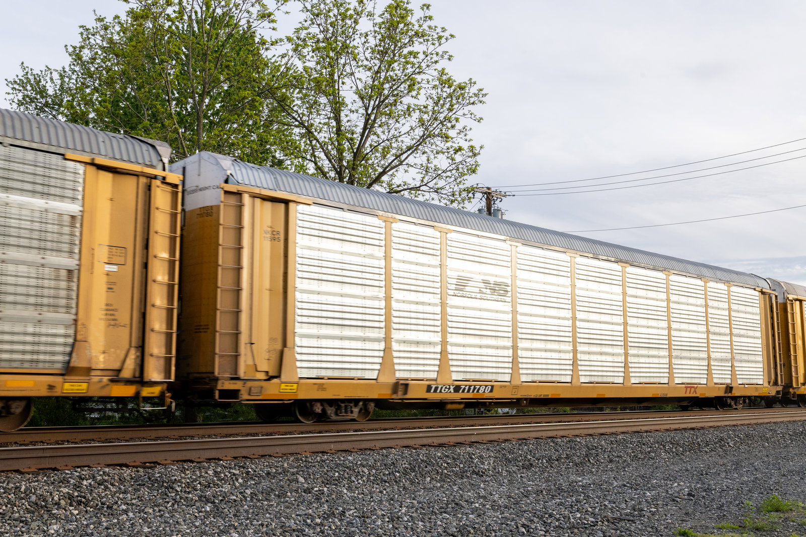 TTGX 711780