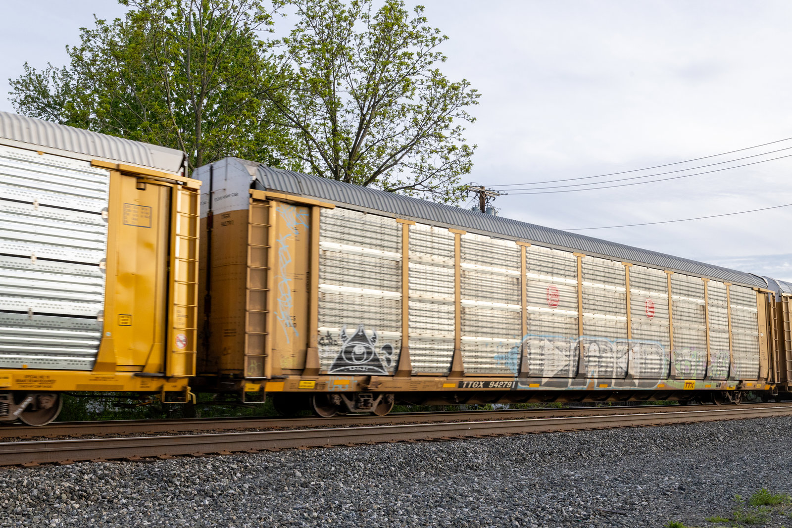 TTGX 942791