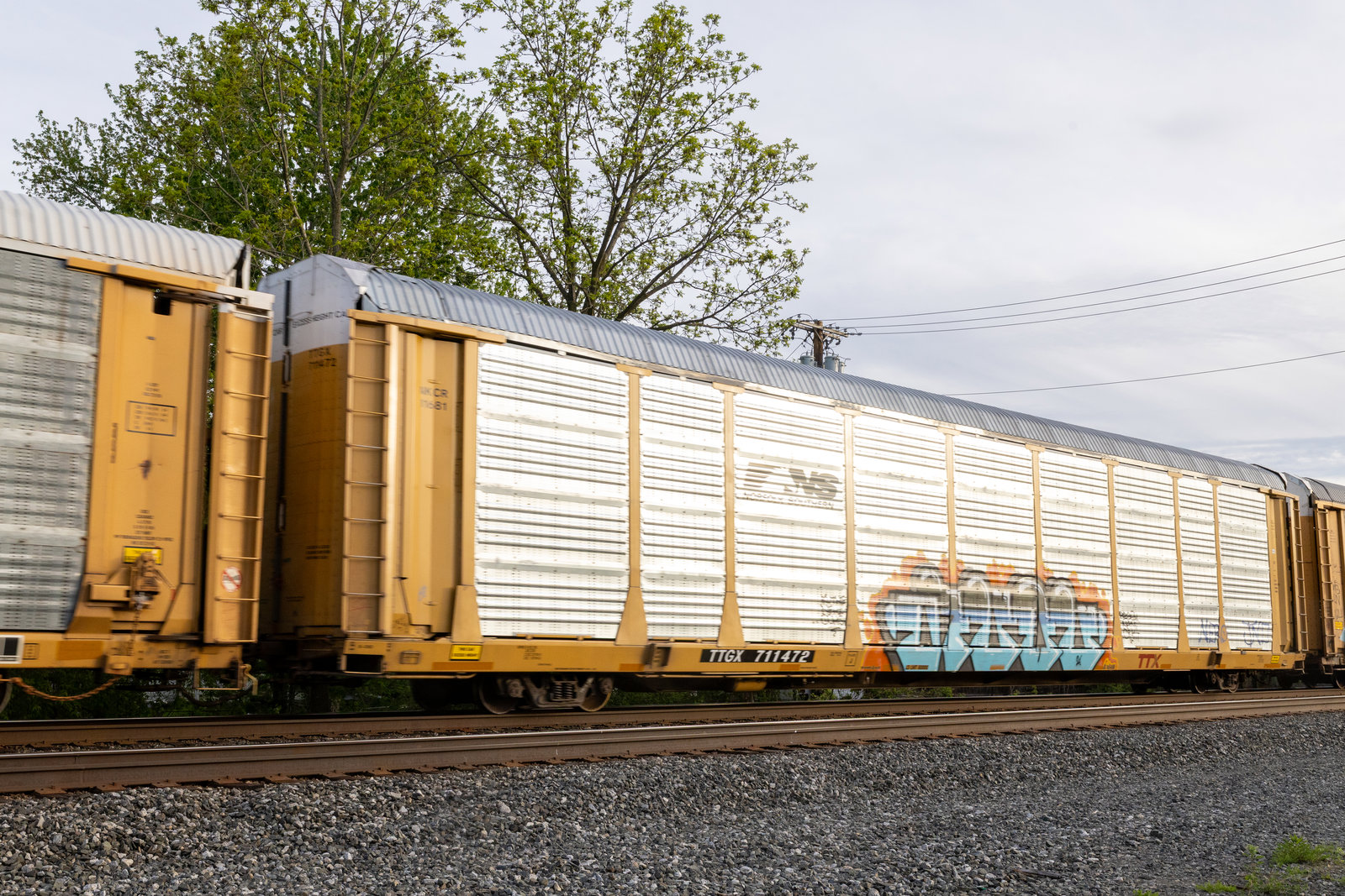 TTGX 711472
