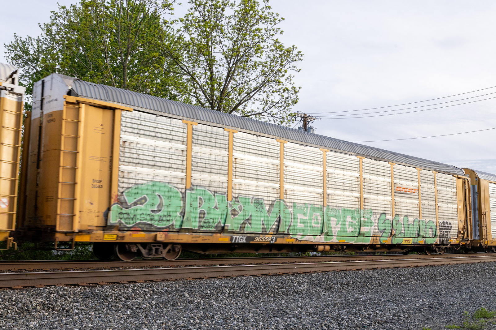 TTGX 965593