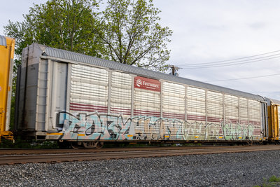 TTGX 705758