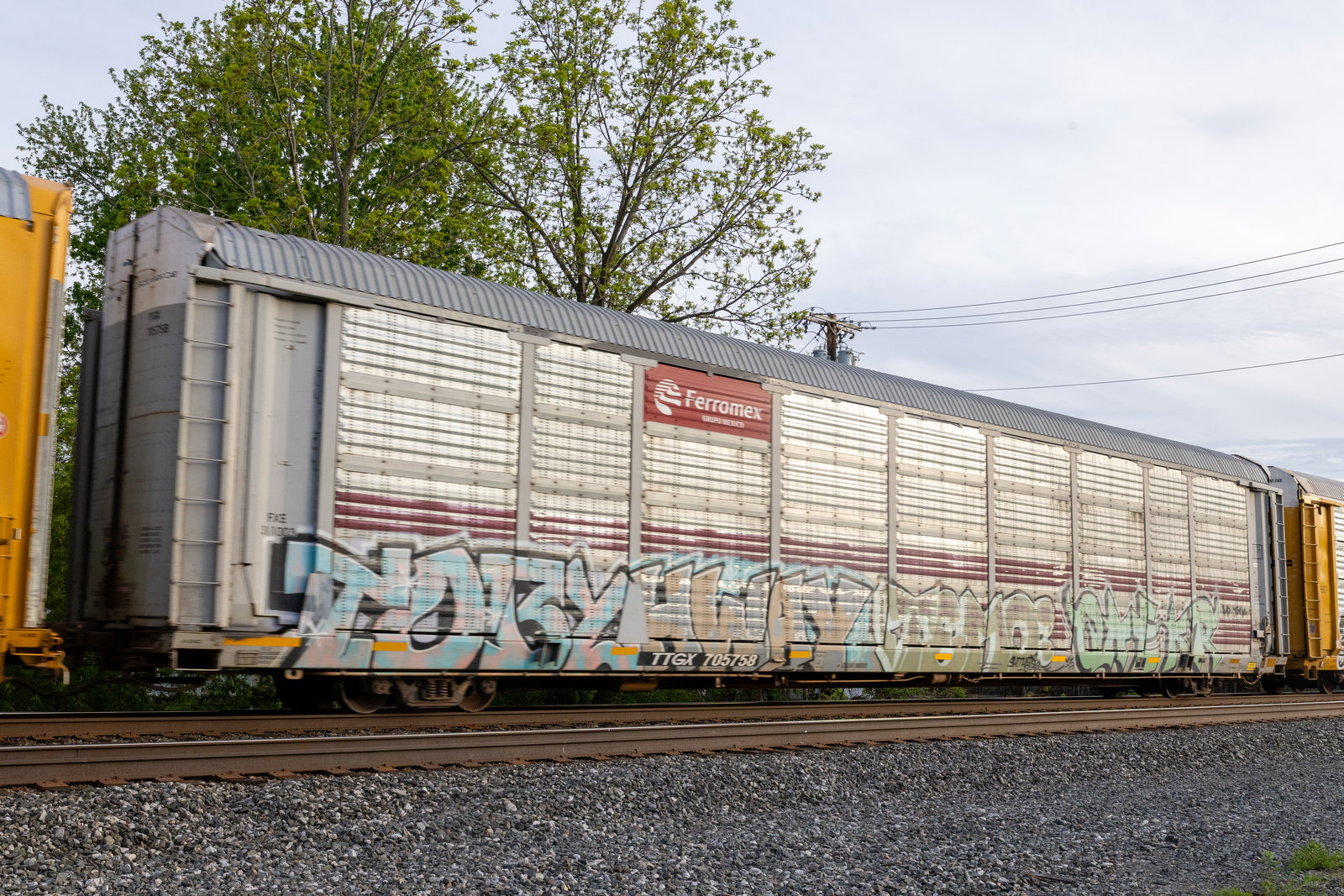 TTGX 705758