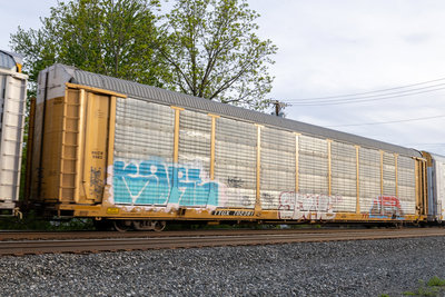 TTGX 702381