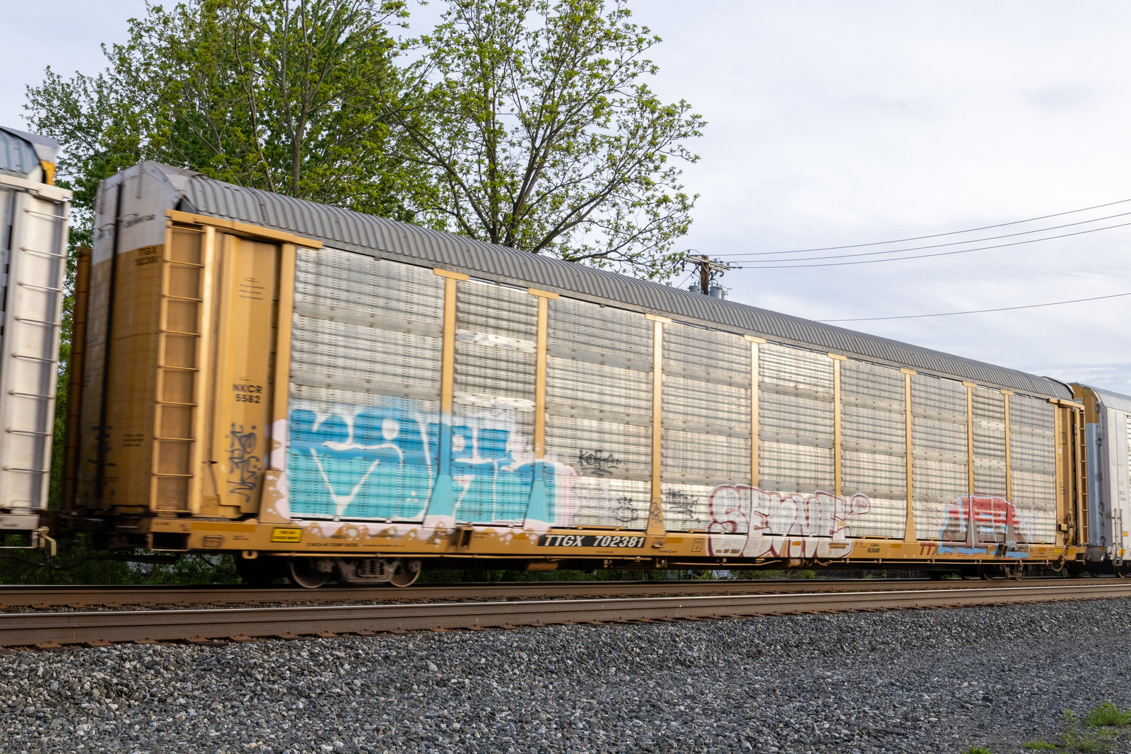 TTGX 702381