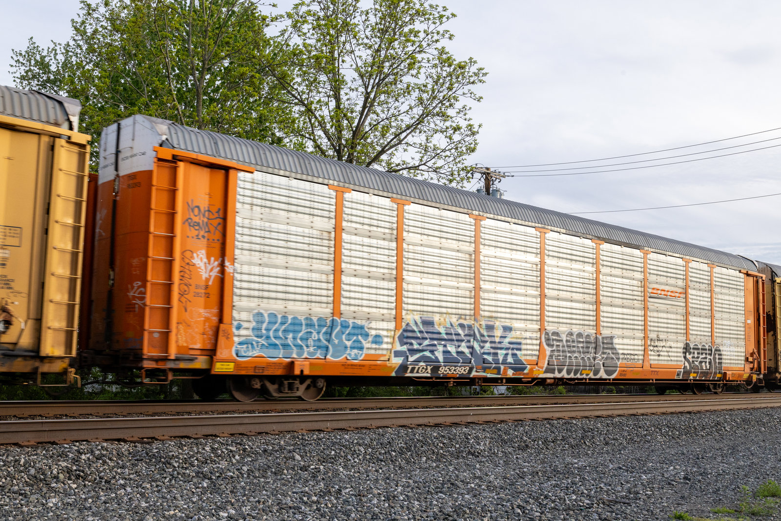 TTGX 953393