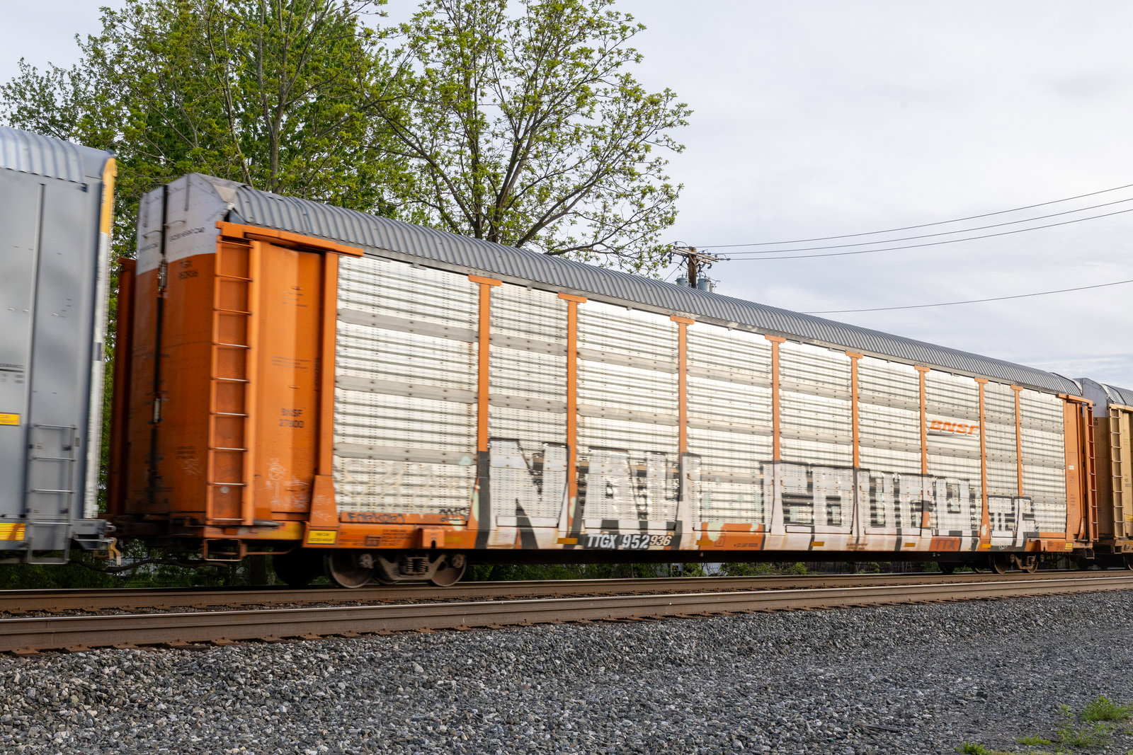 TTGX 952936