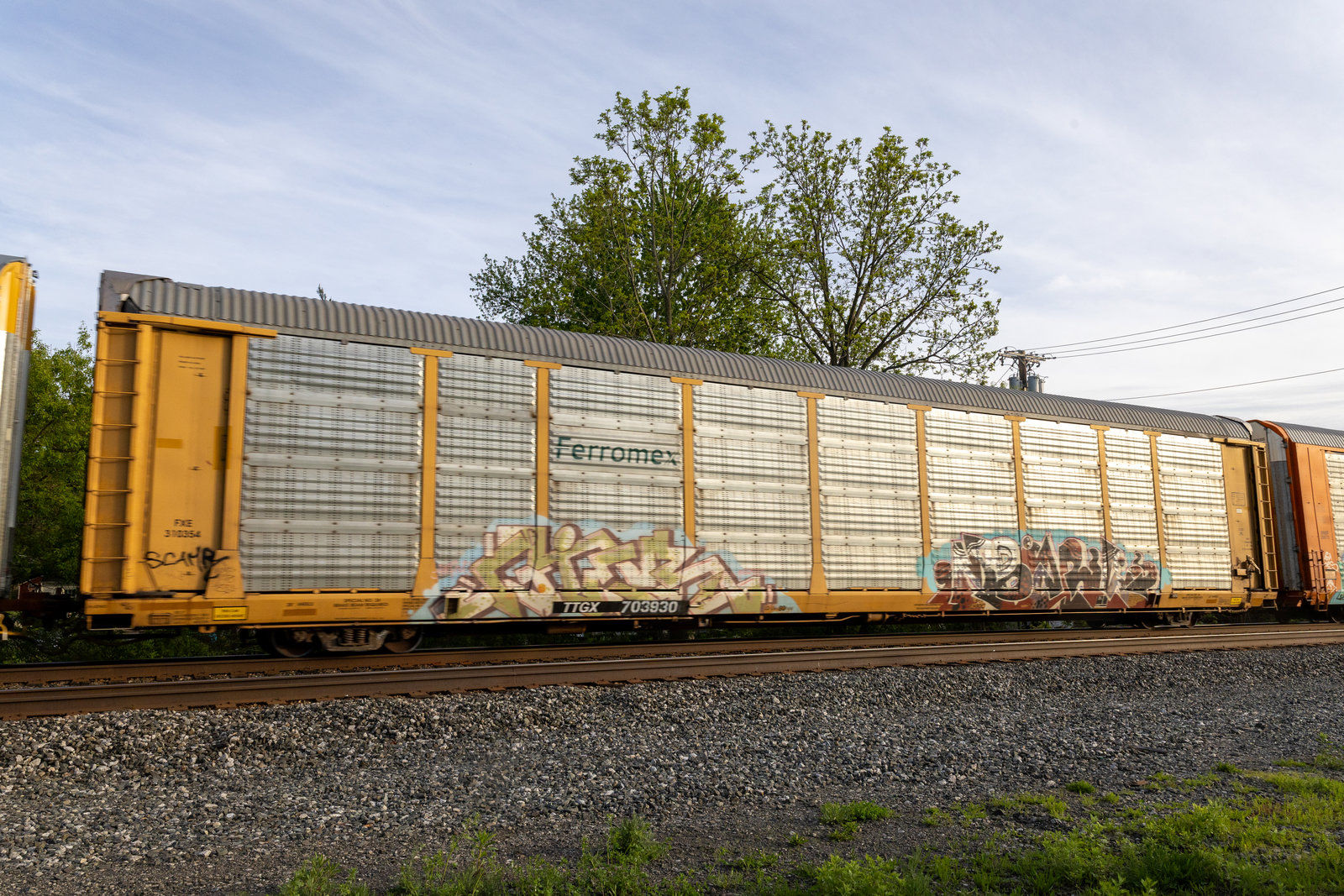 TTGX 703930