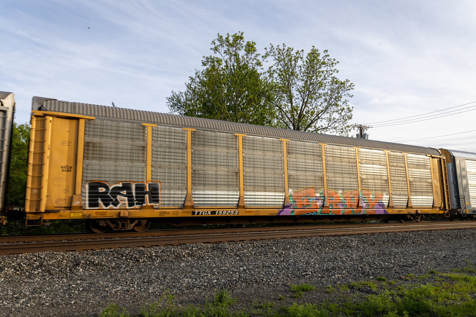 TTGX 159253