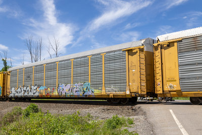 TTGX 953683