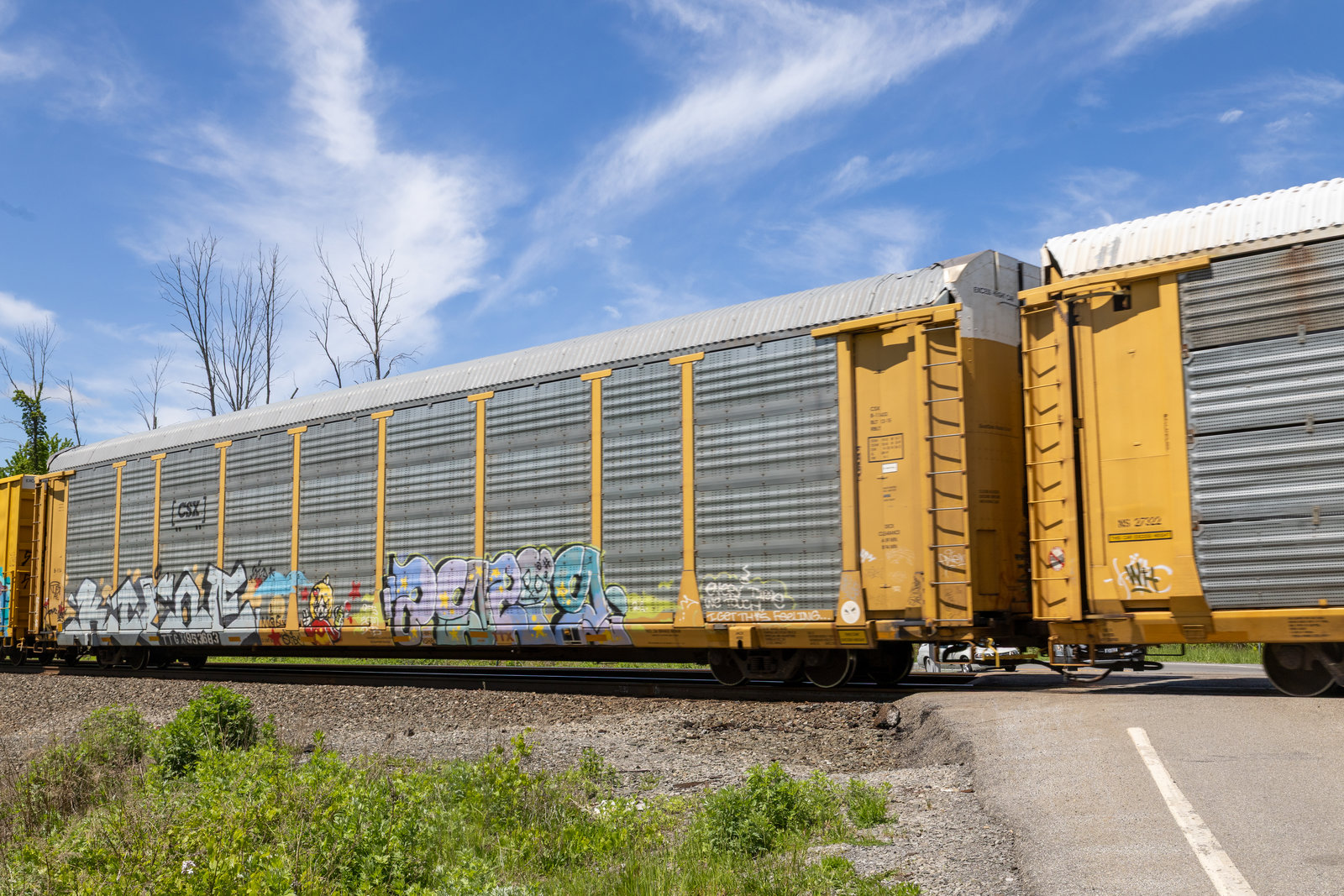 TTGX 953683