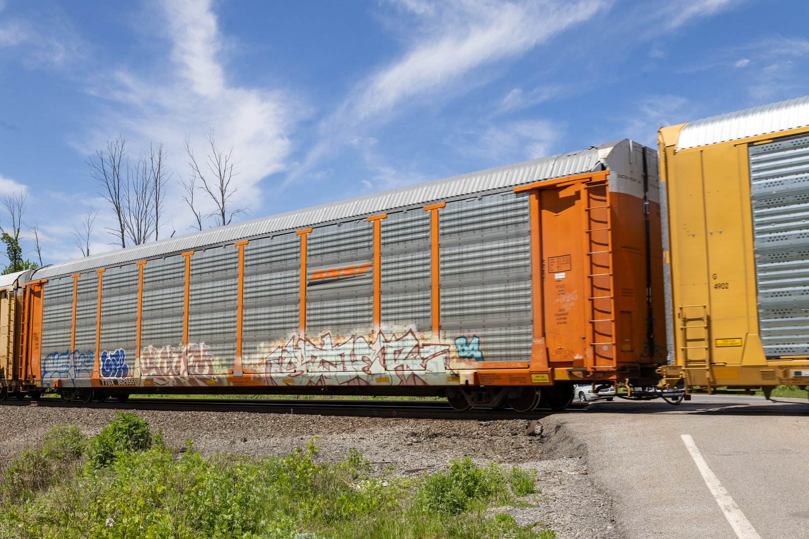 TTGX 952955