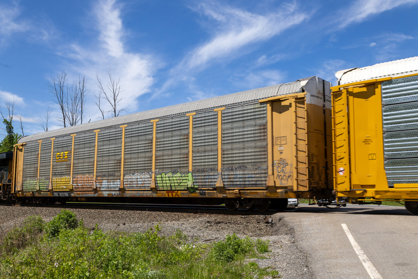 TTGX 922196