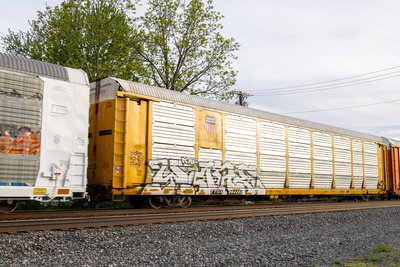 TTGX 964282