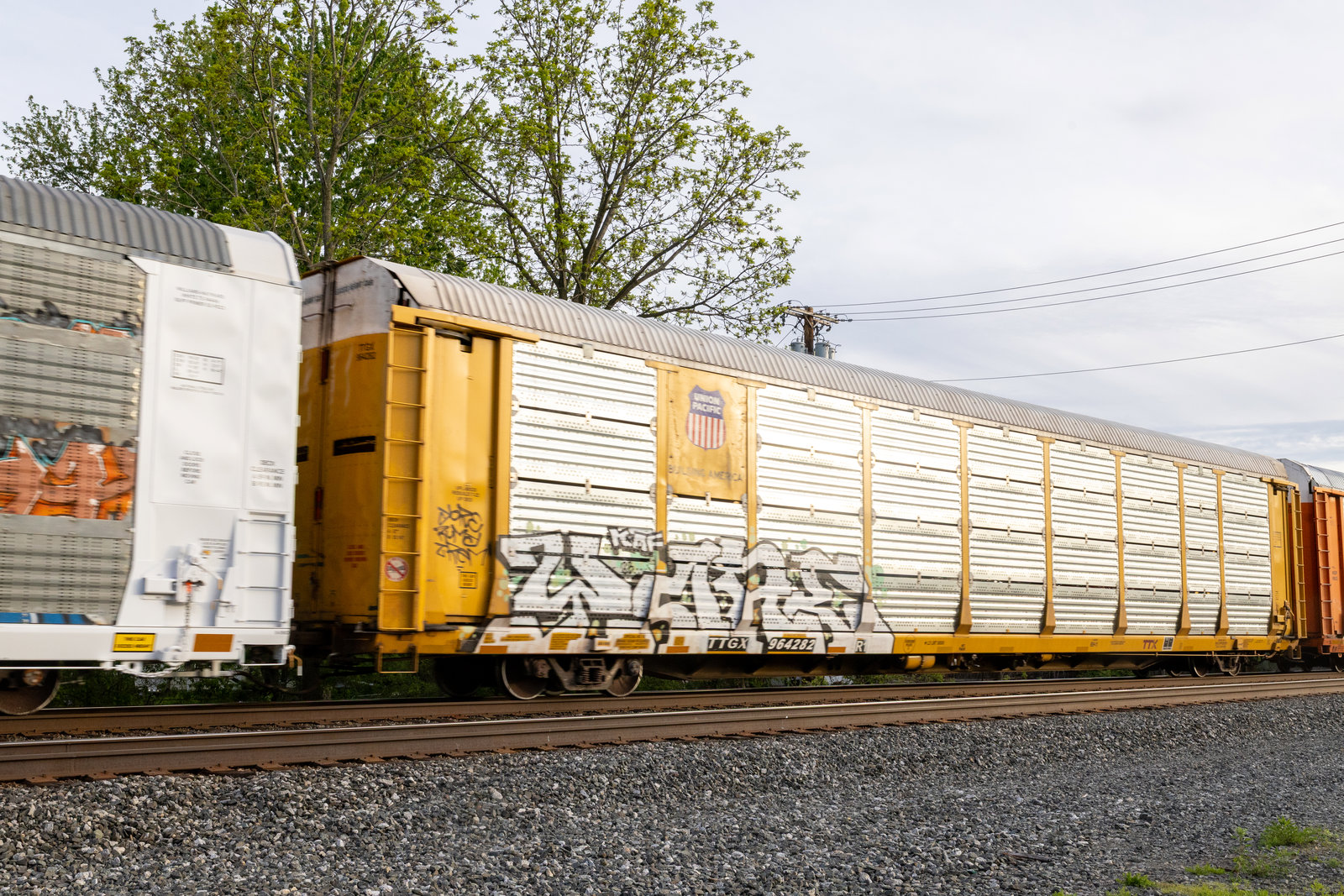 TTGX 964282