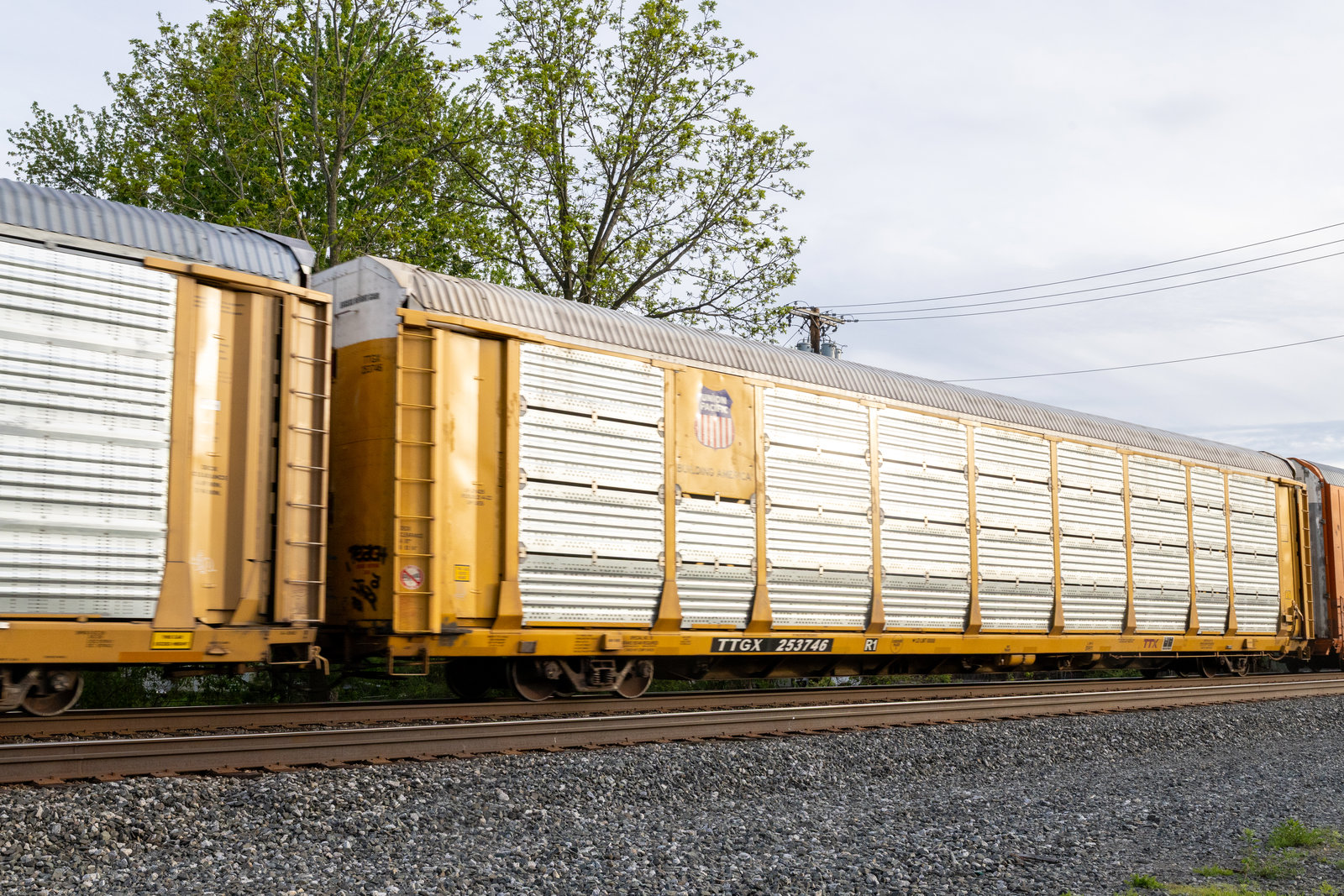 TTGX 253746