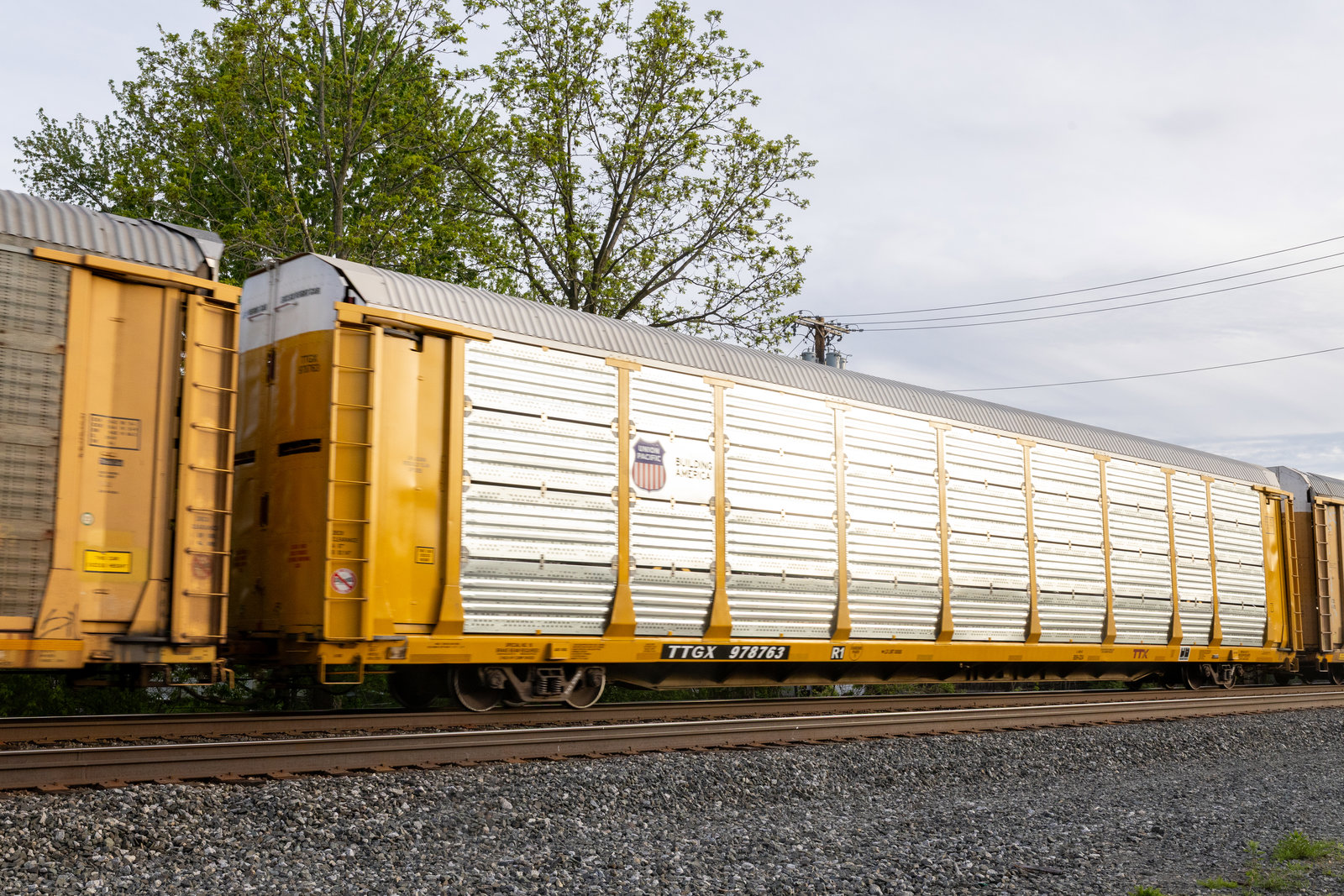TTGX 978763