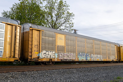 TTGX 987244