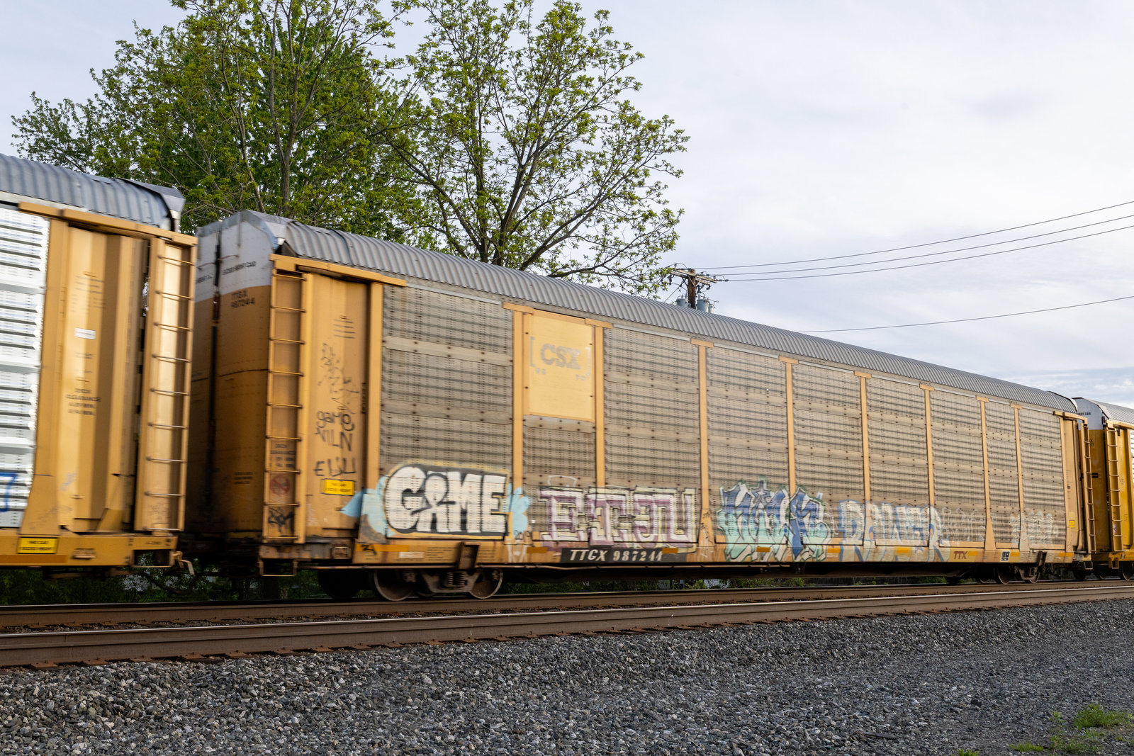 TTGX 987244