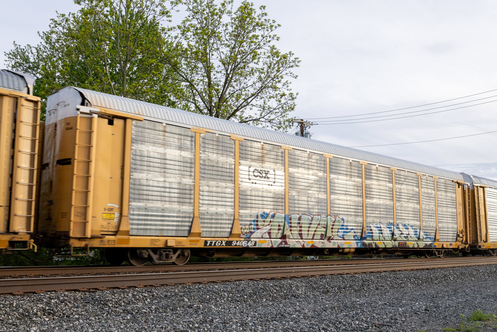 TTGX 940648