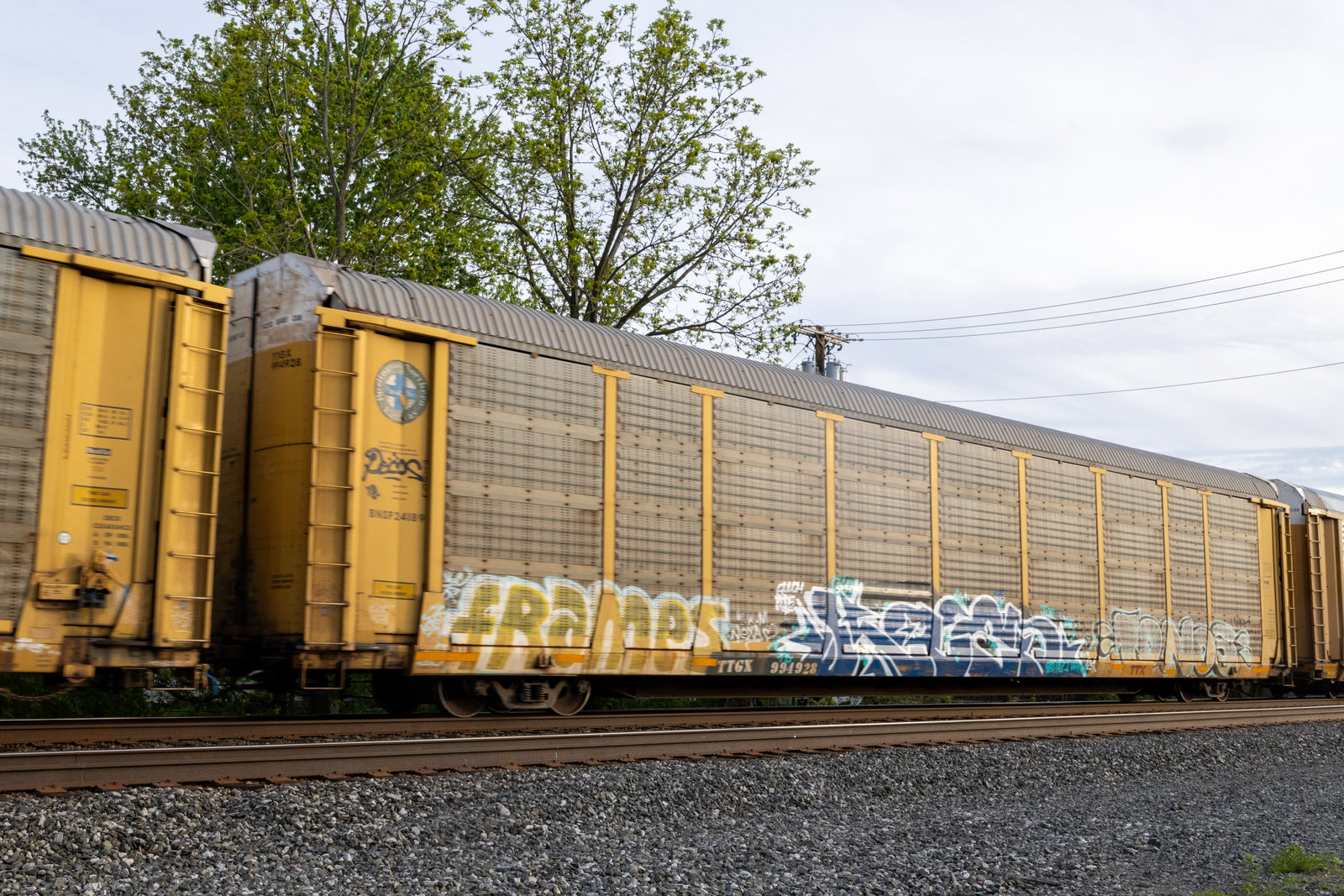 TTGX 994928